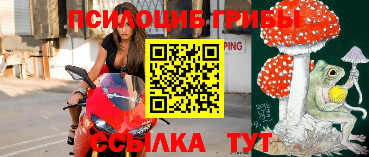 Галлюциногенные грибы MAGIC MUSHROOMS  Вход с VPN  Зима 